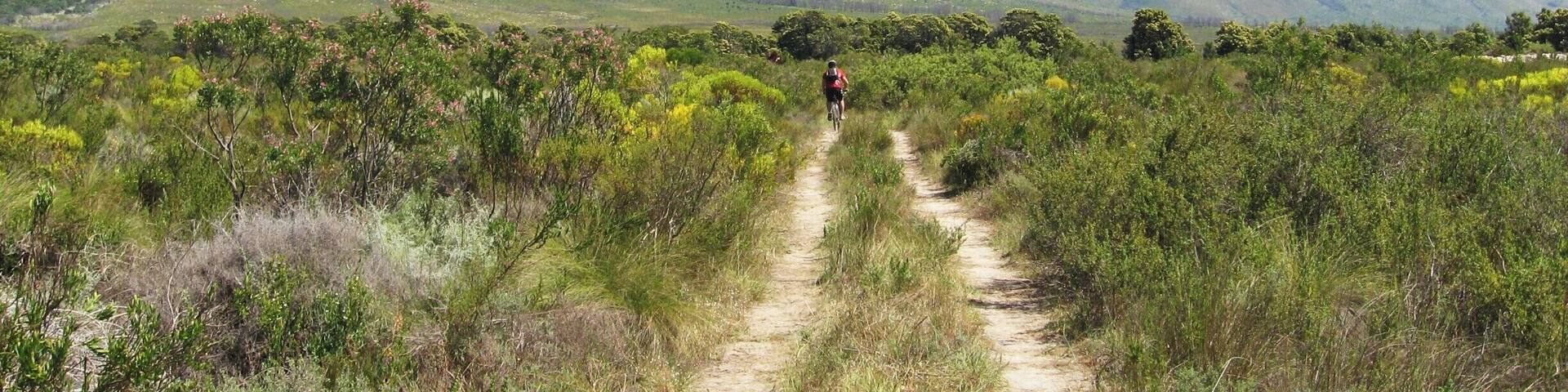 Cycling in slanghoek