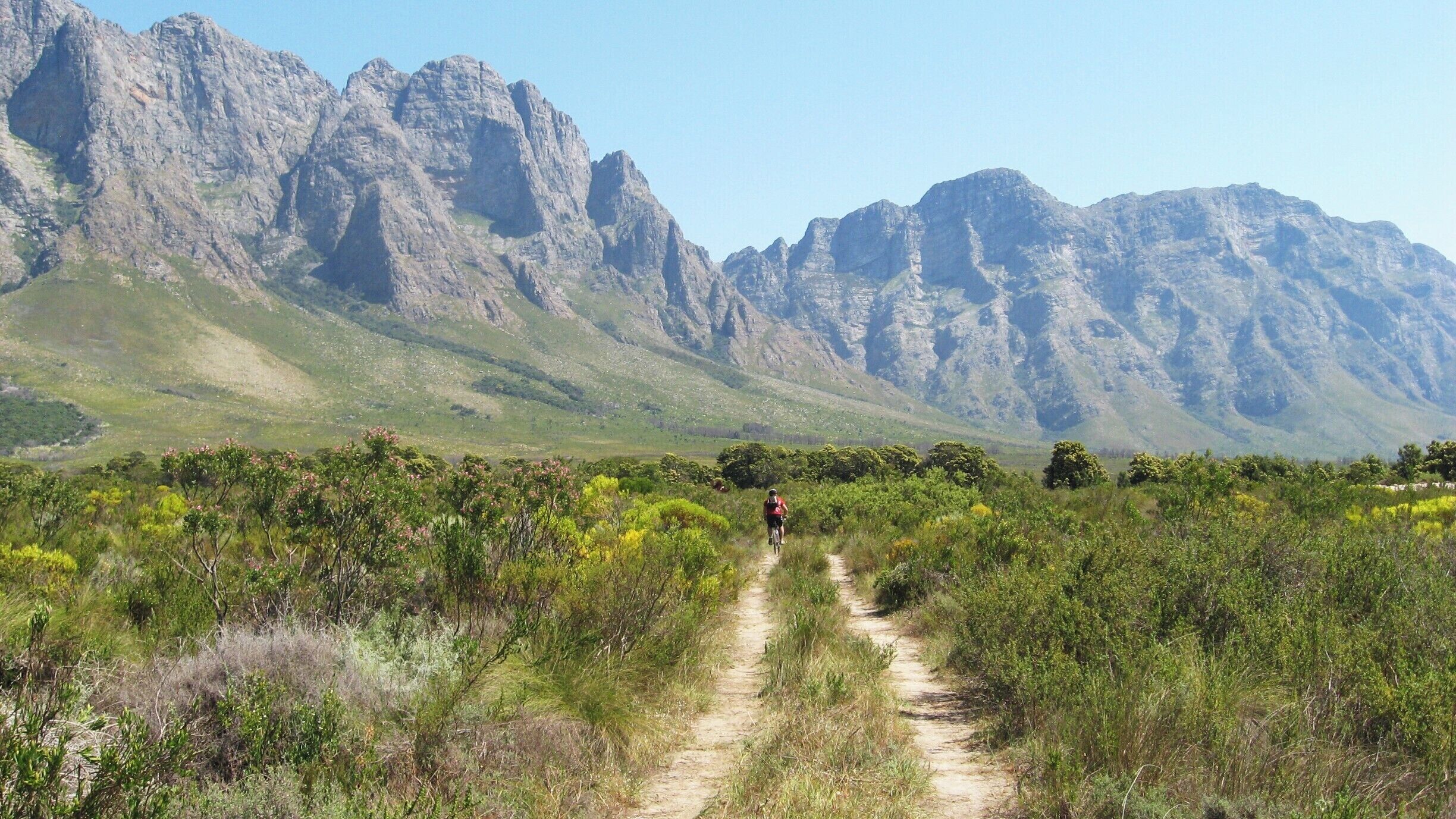 A mountain path with a cyclist, surrounded by green vegetation and rocky mountains.