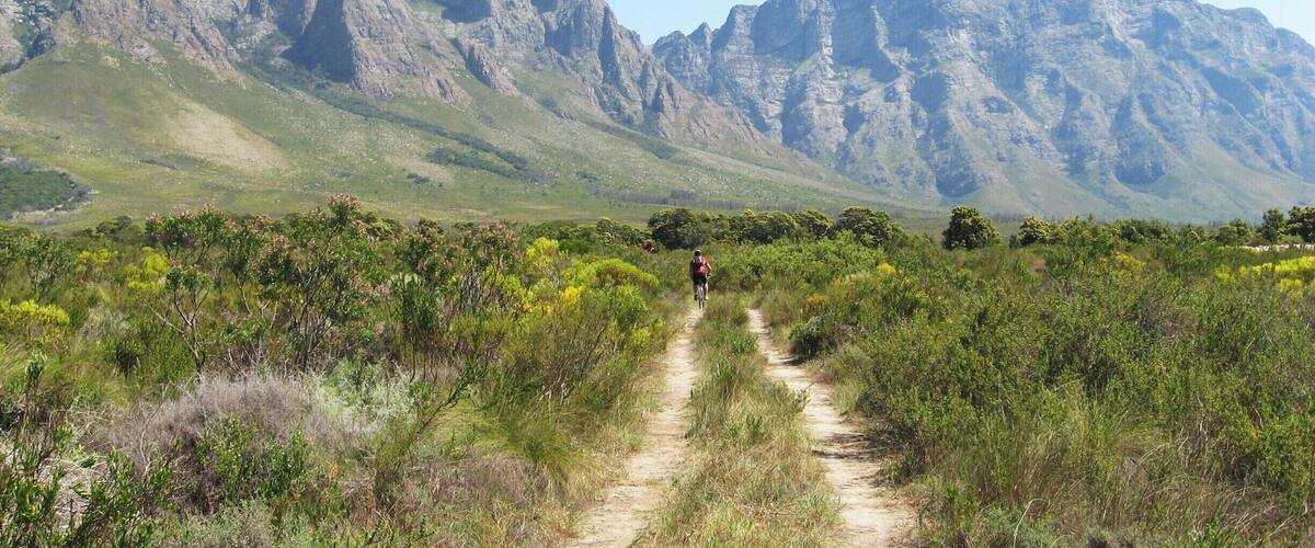 A mountain path with a cyclist, surrounded by green vegetation and rocky mountains.