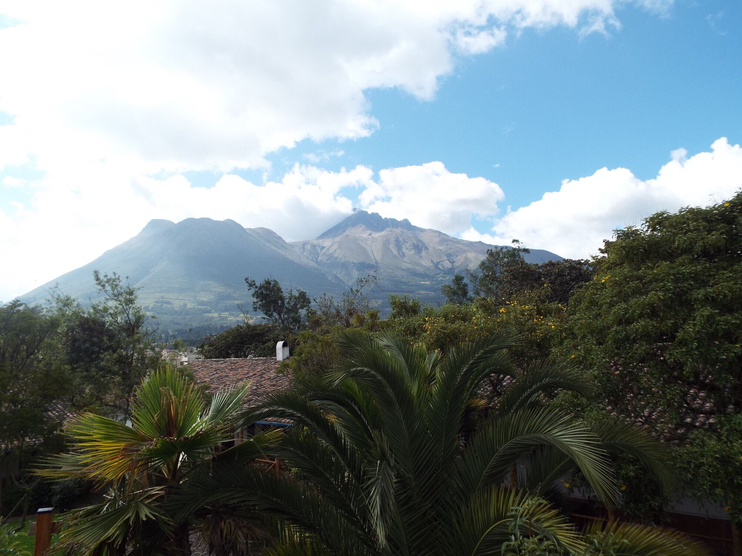 A mountain range with lush greenery in the foreground.