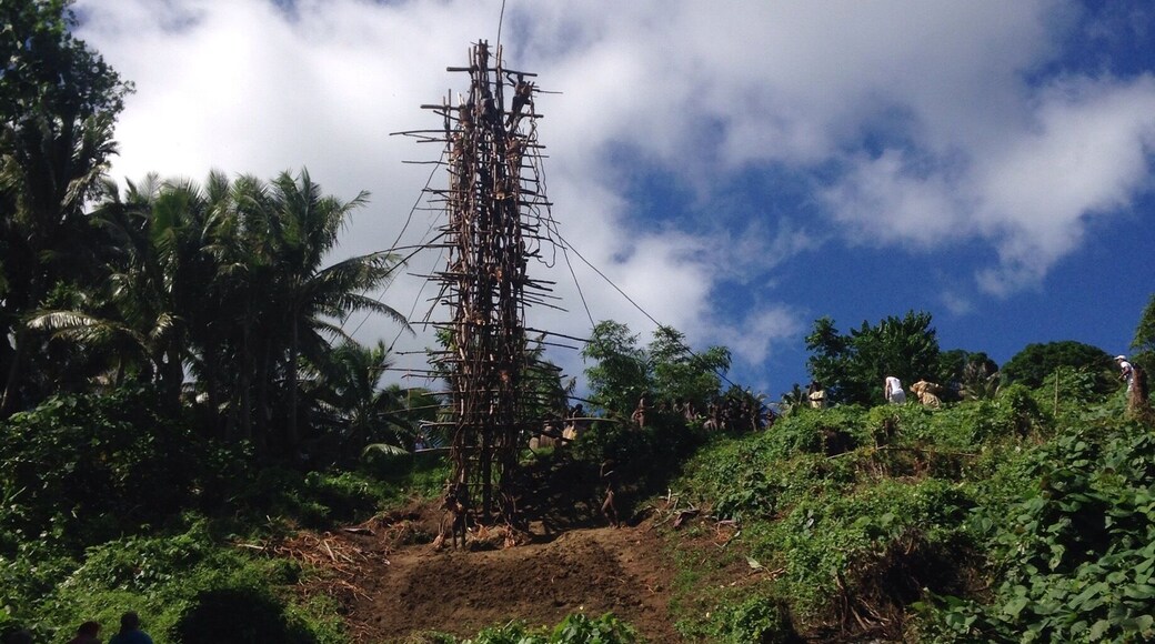 Traditional Vine jumping in Vanuatu is not for the faint hearted.... This activity is only performed for four months of the year and you will require planning to get there.
