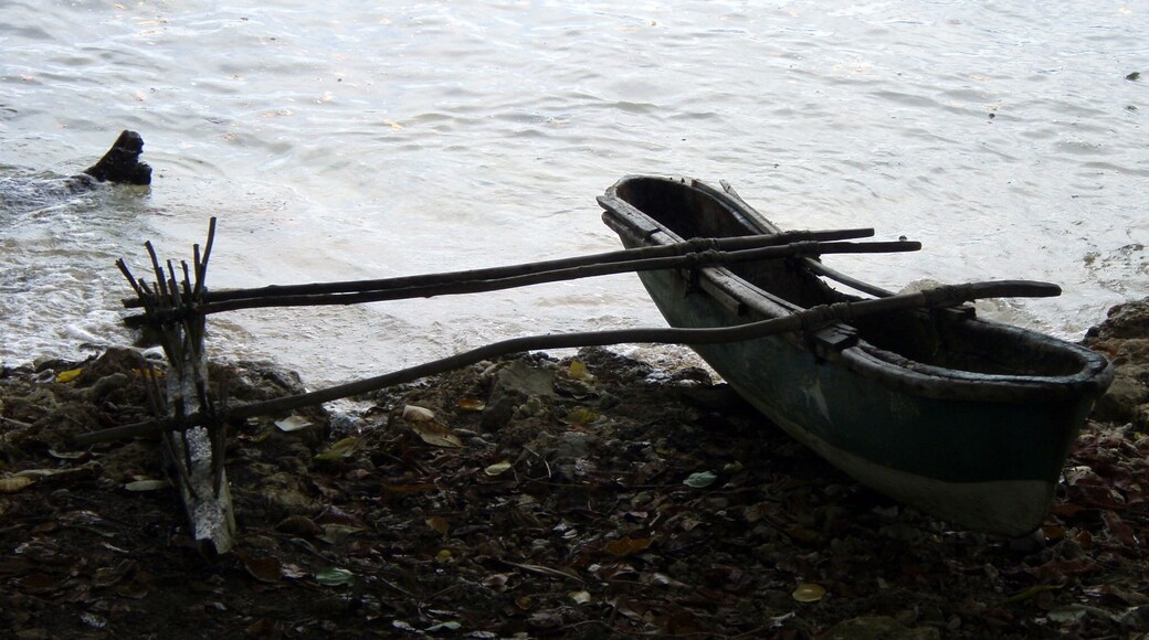The inter-island ferry. :) Wala is a very tiny, very primitive island. There are no cars, no bathrooms, no electricity. There are are few locals who live in a small village here and the snorkeling is wonderful.