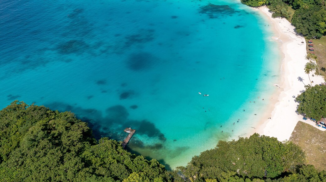 Drone view of sandy beach and green shore near turquoise sea. Tourist settlement. Sanma, Vanuatu..