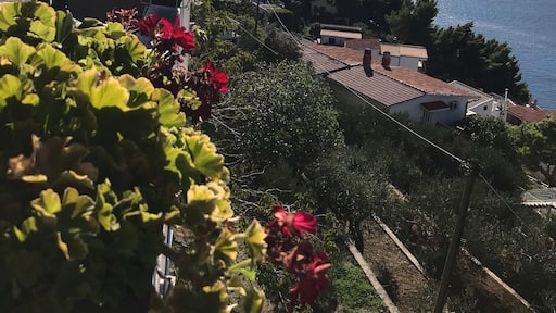 A wonderful restaurant we stopped at while driving south on the coastal highway! Stunning! It took our breath away...and fantastic breakfast!