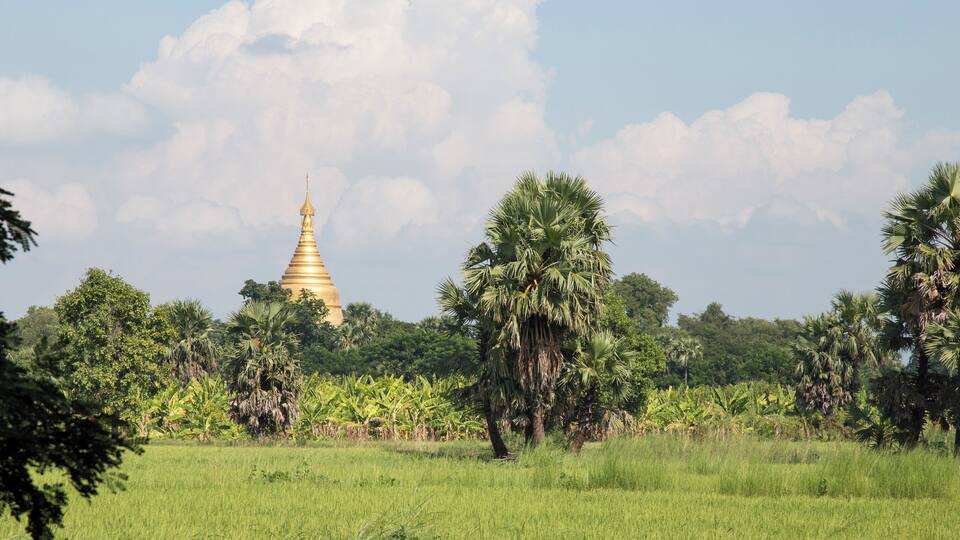 A golden stupa surrounded by lush greenery and palm trees.