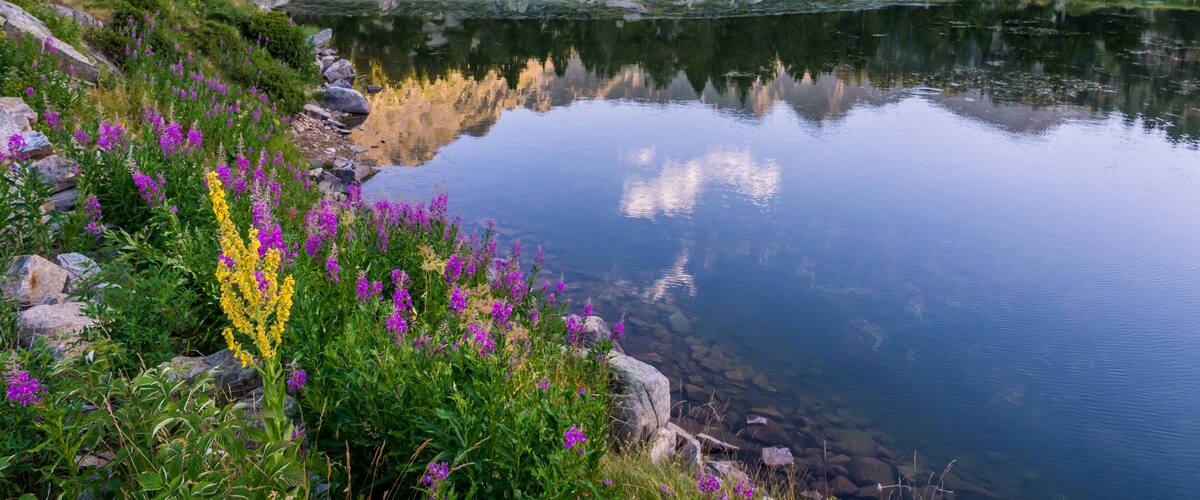Estany Primer lake in Andorra, Pyrenees Mountains., Shutterstock ID 741533317, Purchase Order: -