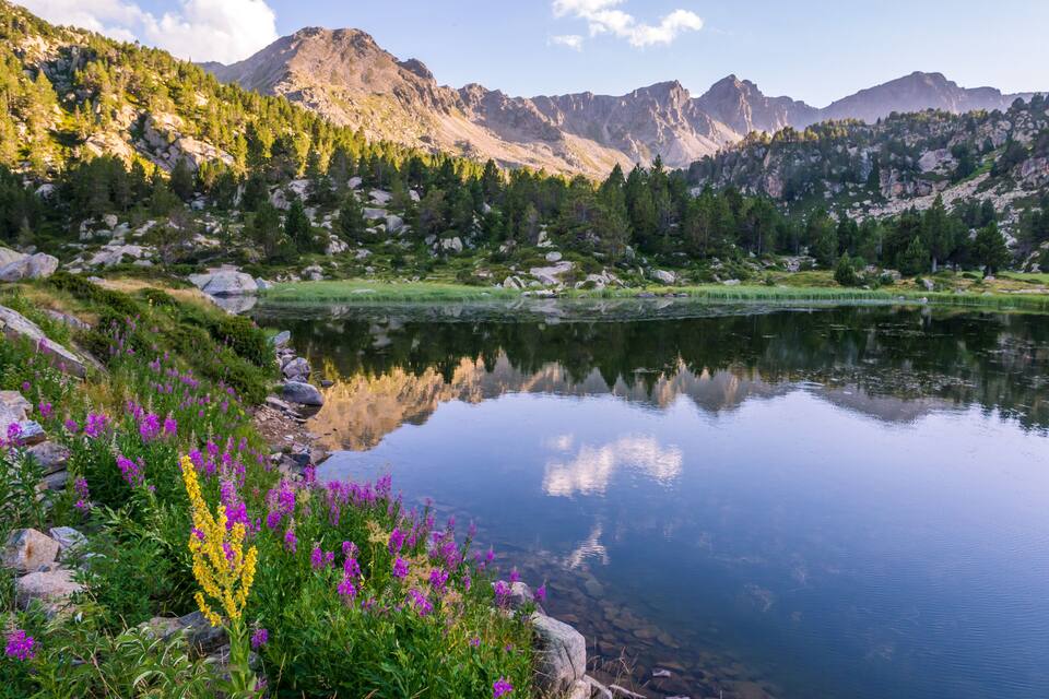 A mountain lake with clear reflections, surrounded by green trees and rocky terrain.
