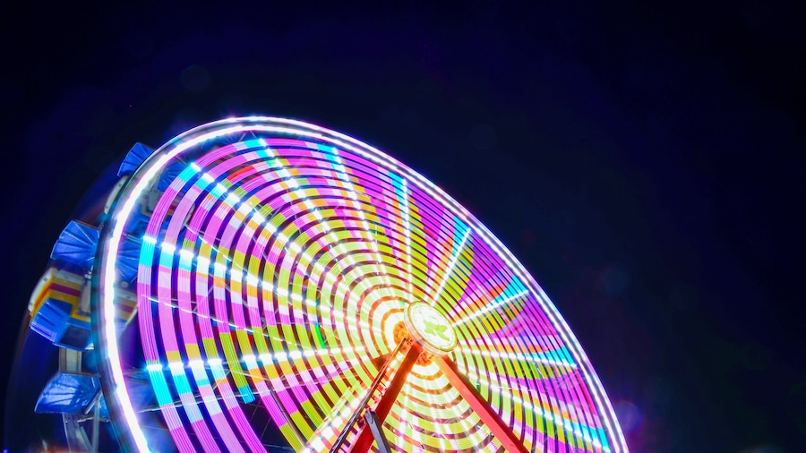 블룸스버그 박람회장