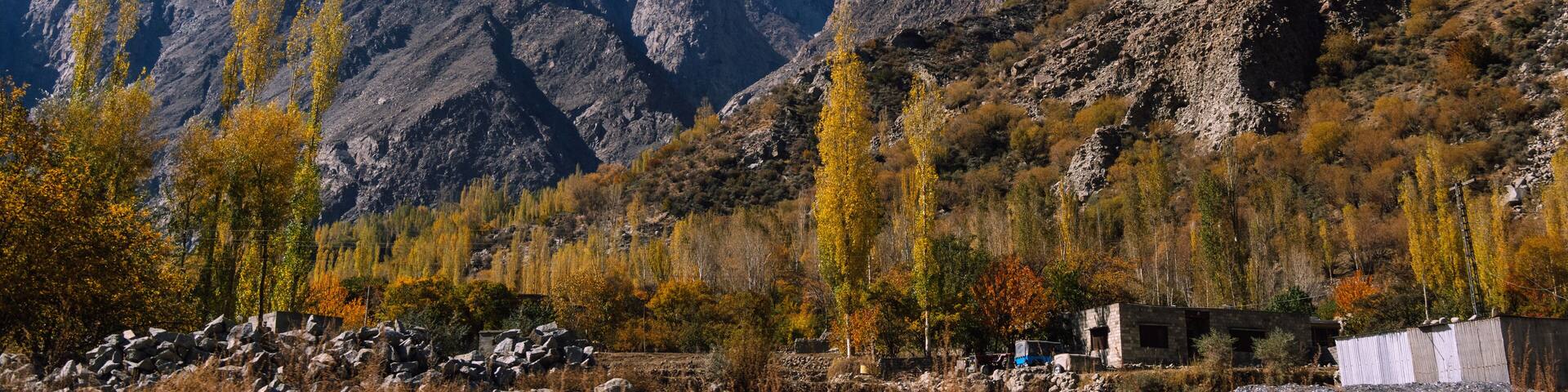 View of rugged, textured mountains rise against a vibrant blue sky, snow-capped peaks contrasting with the golden hues of autumn trees, Gulmit Hunza, Gilgit Baltistan, Pakistan.