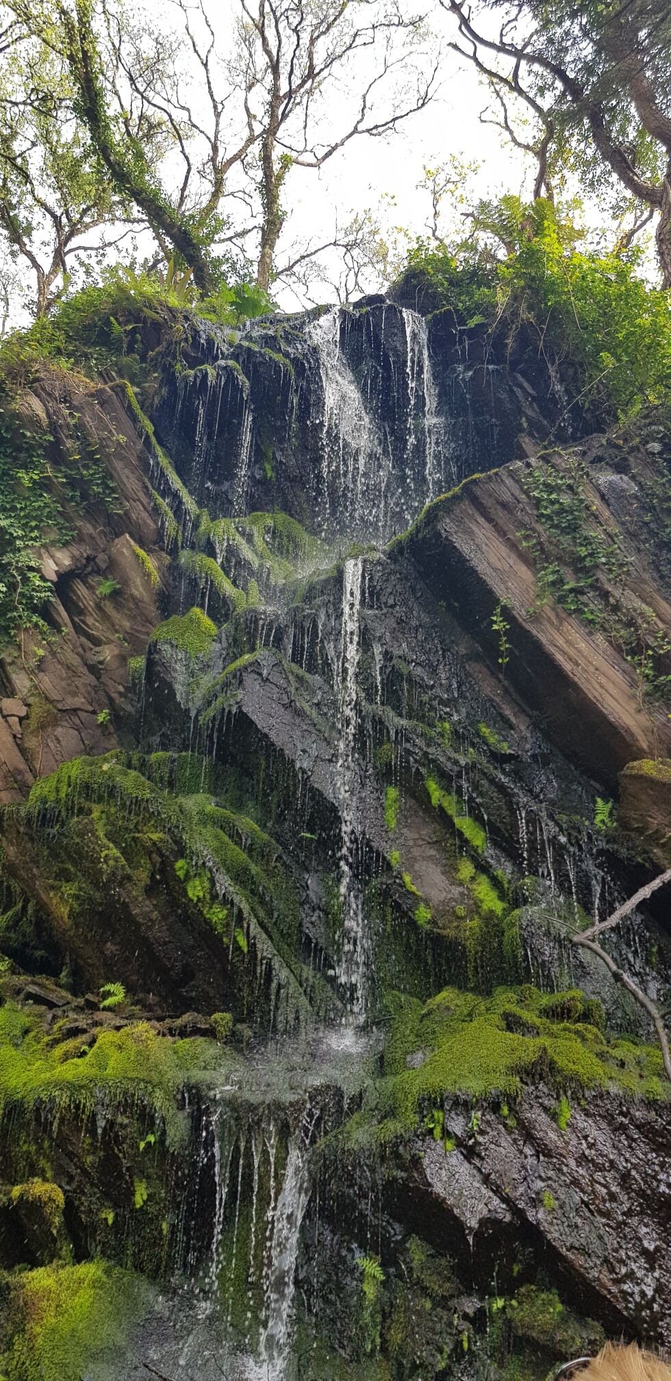 #LifeAtExpedia 

Great day along the Ring of Kerry 

#home