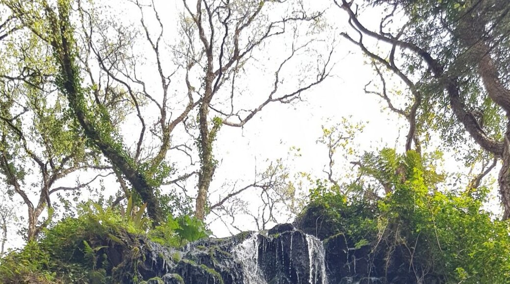 #LifeAtExpedia
Great day along the Ring of Kerry
#home