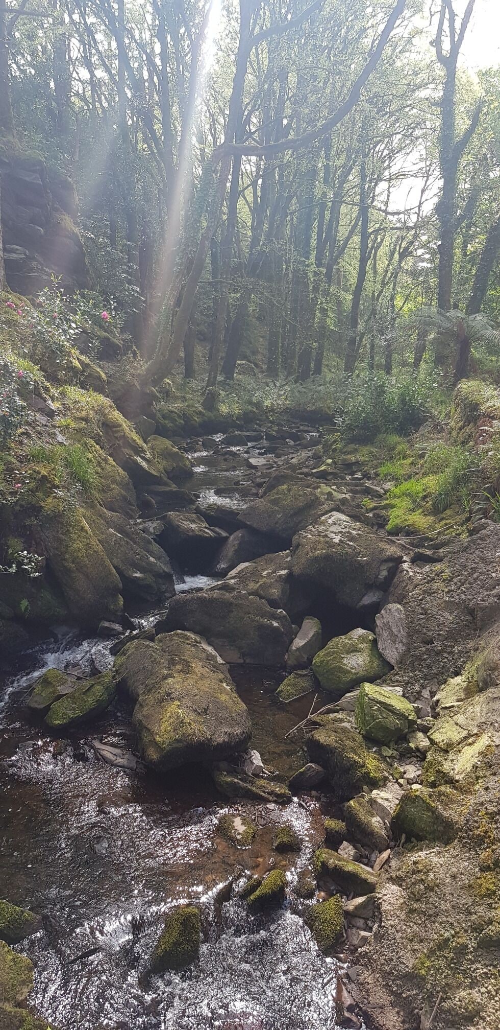 #LIFEATEXPEDIA

#IRELAND