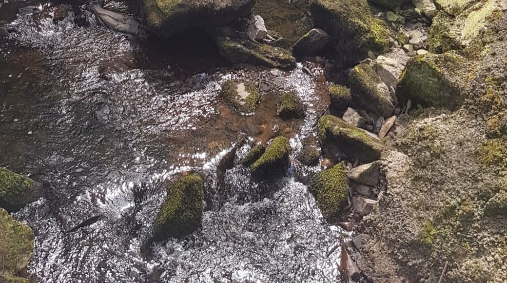 #LIFEATEXPEDIA
#IRELAND