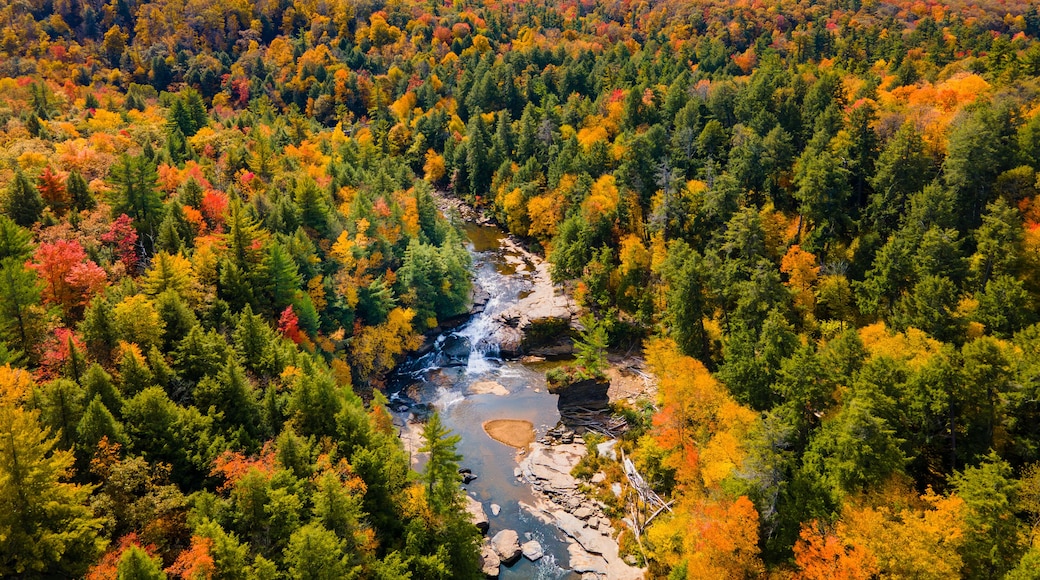 Aerial view of Swallow Falls in autumn in McHenry Maryland, United States.