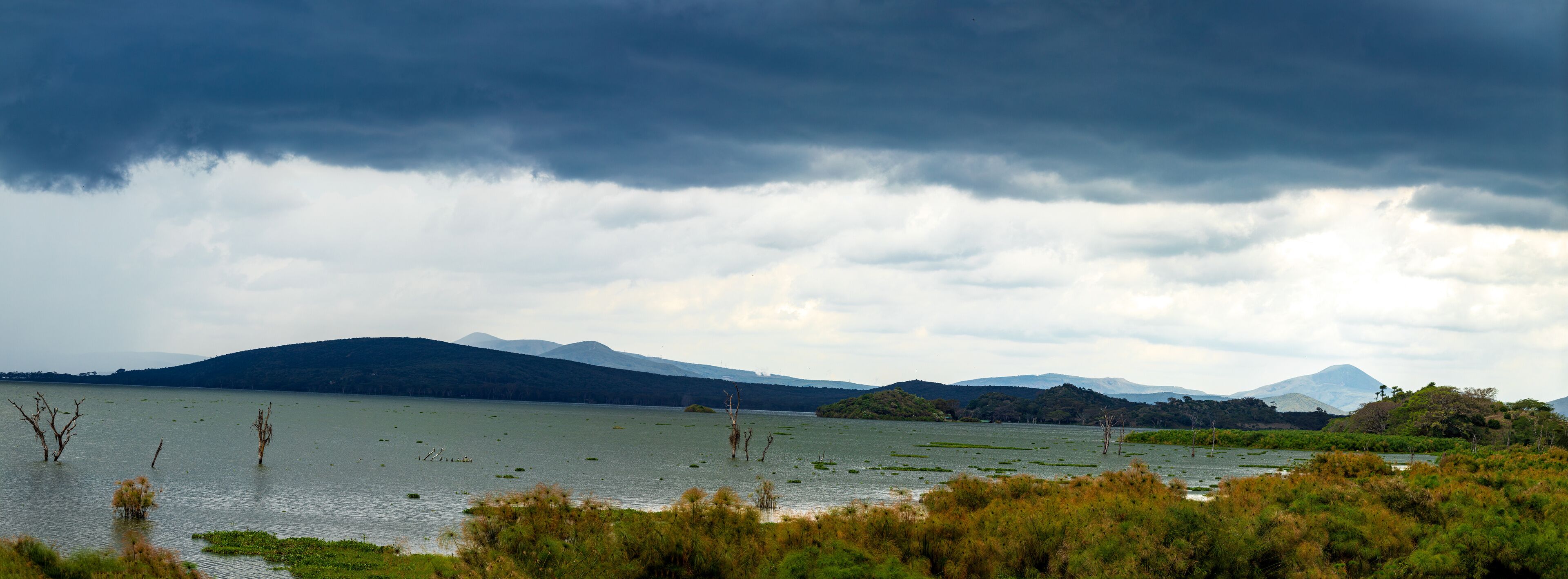 Lake Naivasha Nakuru City County Kenya East Africa Landscapes