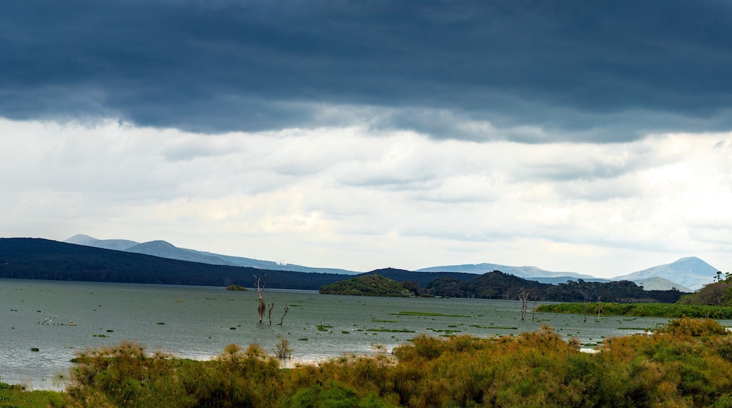 Lake Naivasha Nakuru City County Kenya East Africa Landscapes