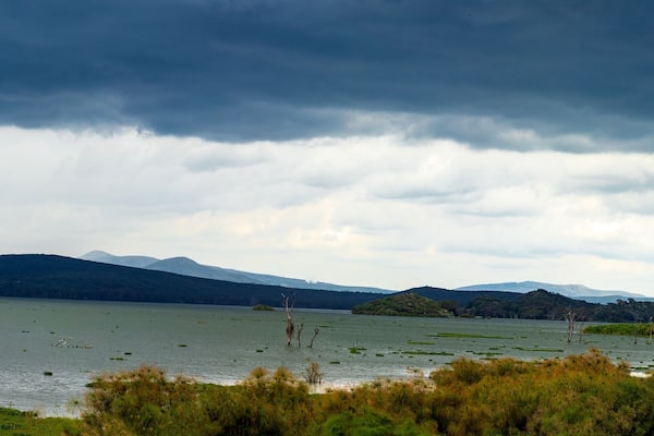 Lake Naivasha Nakuru City County Kenya East Africa Landscapes