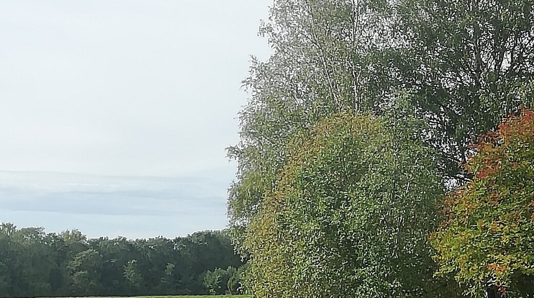 Metsänkylä Barn
If you have old house or other building and you want to renovate it saving the original time period style, this is the place to be. They sell old building materials here.
But we weren´t there for building materials. They have 22 alpacas. They were so cute. And we were able to feed alpacas with grass.
Open only Sundays from 12 to 15. , Metsänkyläntie 14, 13900 Pekola
https://www.metsankylannavetta.fi/metsankylan-alpakat/alpakkapoikamme/