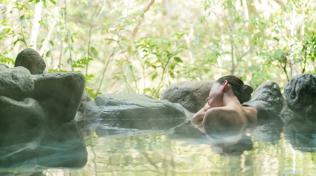 Hot Springs Resort And Spa