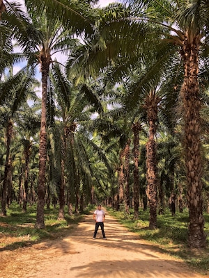 This isn’t a destination. It’s #Ontheroad to the Caribbean Coast. But it might as well should be because, on my most recent trip, this stop was one of my favorites. These are Oil Palm Tree plantations. They are majestically beautiful, amazingly tall, perfectly symmetrical in every direction and infinitely deep... It just felt good, right, perfect