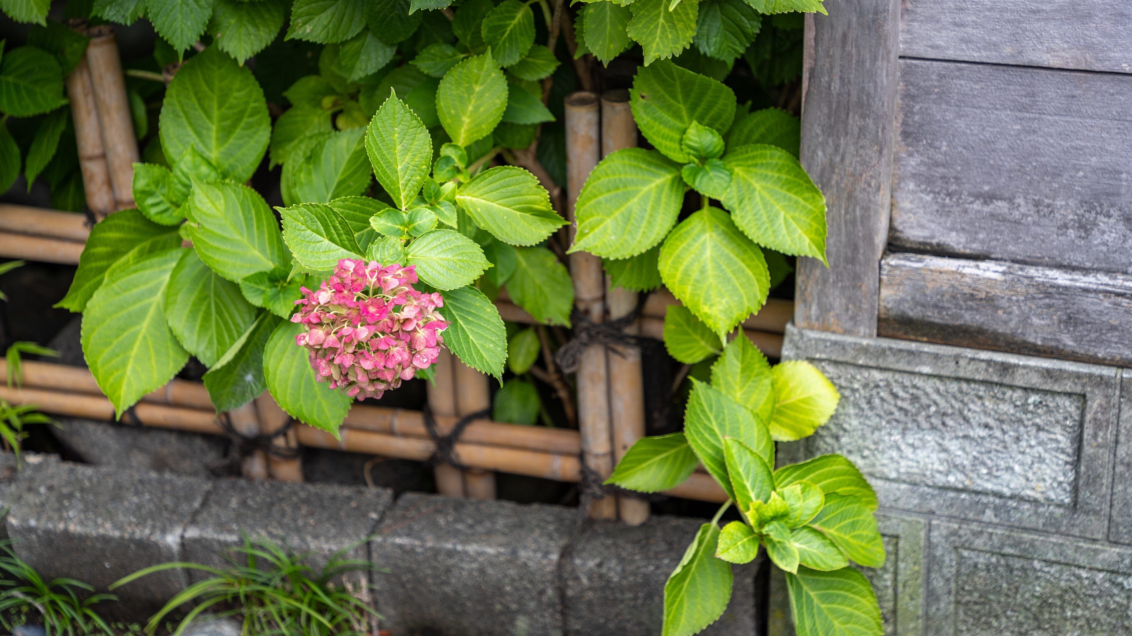Nagamachi Samurai District