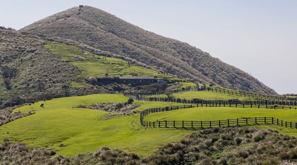 Qingtiangang Grassland
