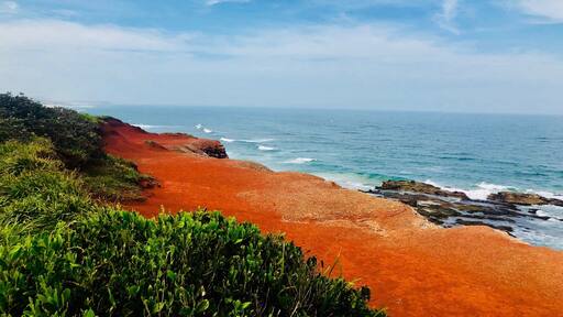 #australia #red #blue #green