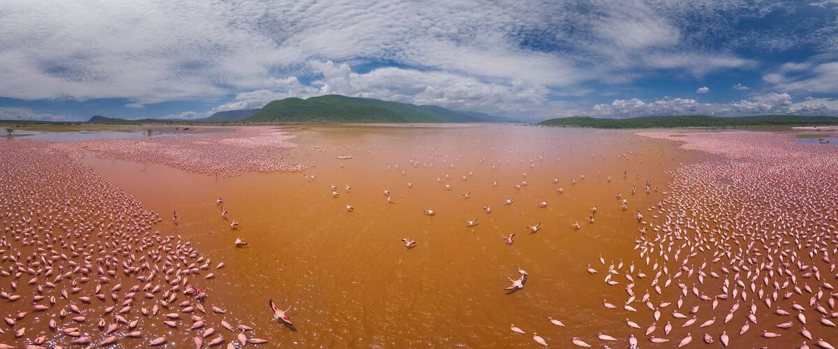 A large body of water with pink flamingos and distant green hills under a cloudy sky.