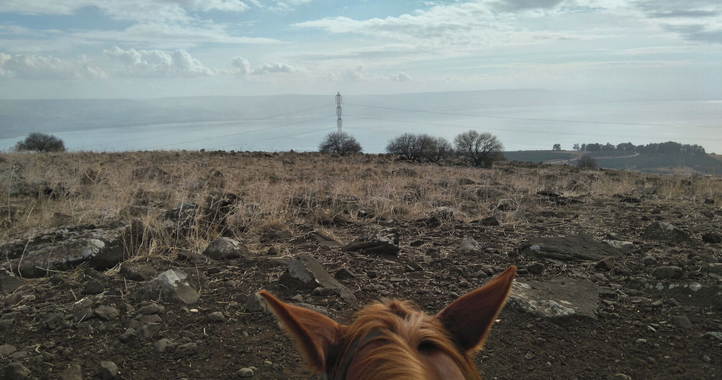 'From a person who’s at least tried to ride horses all over the world, because well, she loves them a lot, riding in Israel came as a surprise. A very pleasant one! The rocky and winding landscape, the view over the Sea of Galilee, and the very well-cared for and trained animals gave off a good and happy vibe.'