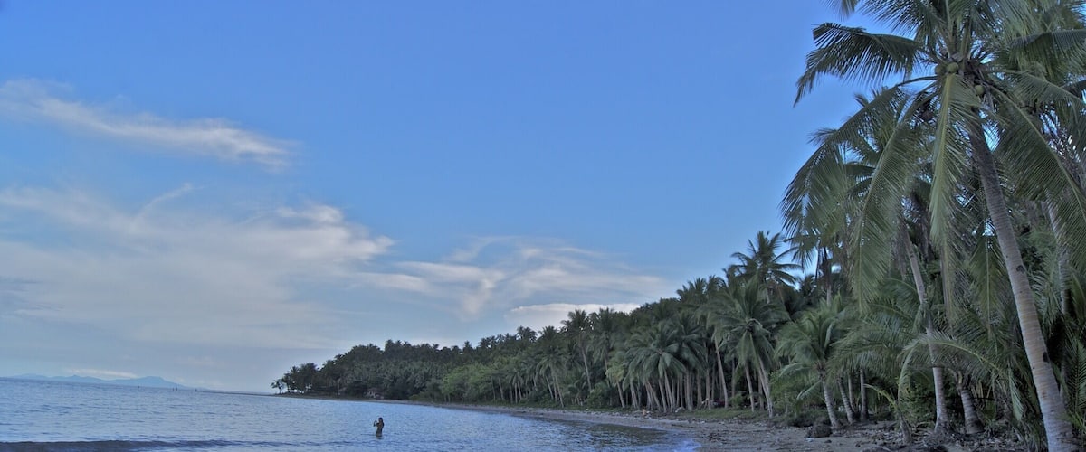 A beach with palm trees and a calm sea.