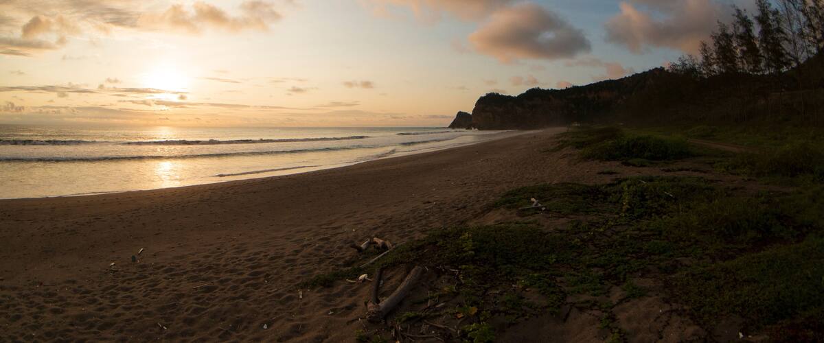 A beach with a sandy shore, waves, and a forested cliff.