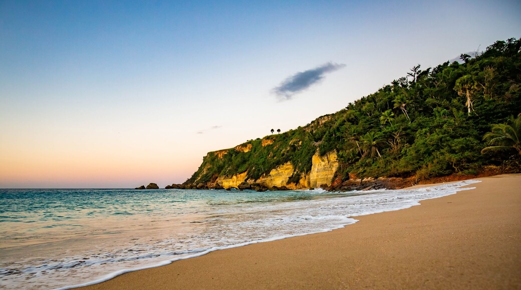 Tropical sunset at the beach with palms