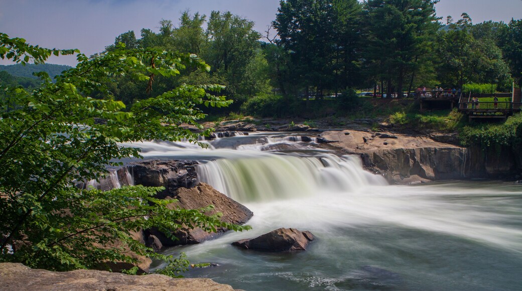 Ohiopyle Falls on the Youghiogheny River, Pennsylvania