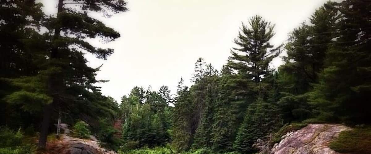 Grundy lake provincial park. The park I had my first bear encounter. Nice place to visit but tons of bugs and deer flies.
