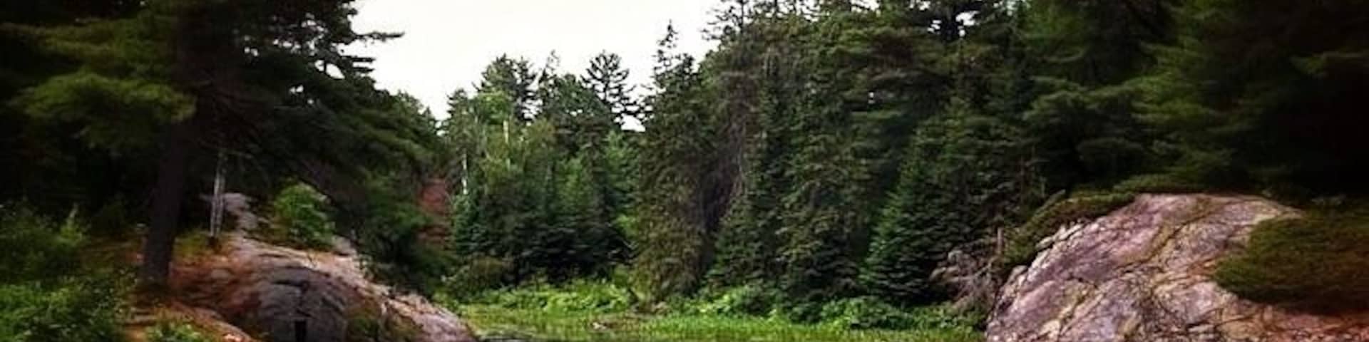 Grundy lake provincial park. The park I had my first bear encounter. Nice place to visit but tons of bugs and deer flies.
