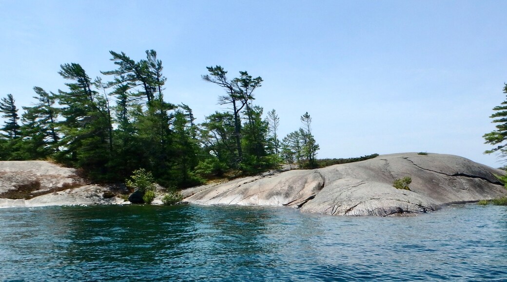 The beautiful worn granite rocks with Windswept Pines on the 30000 Islands of Georgian Bay Ontario Canada