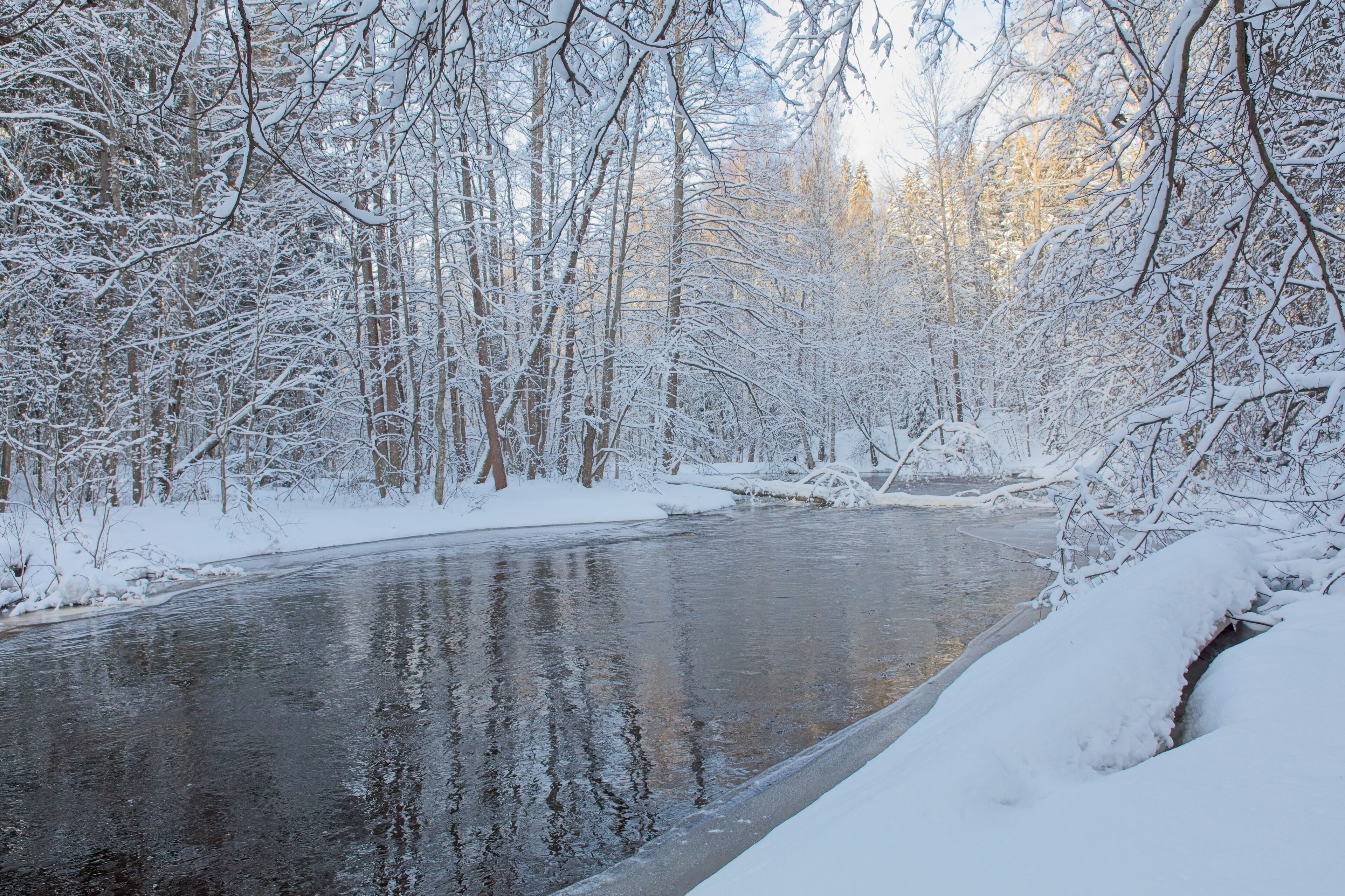 View of river Karjaanjoki in winter with snow on trees and ground, Pitkälänkoski, Karkkila, Finland.