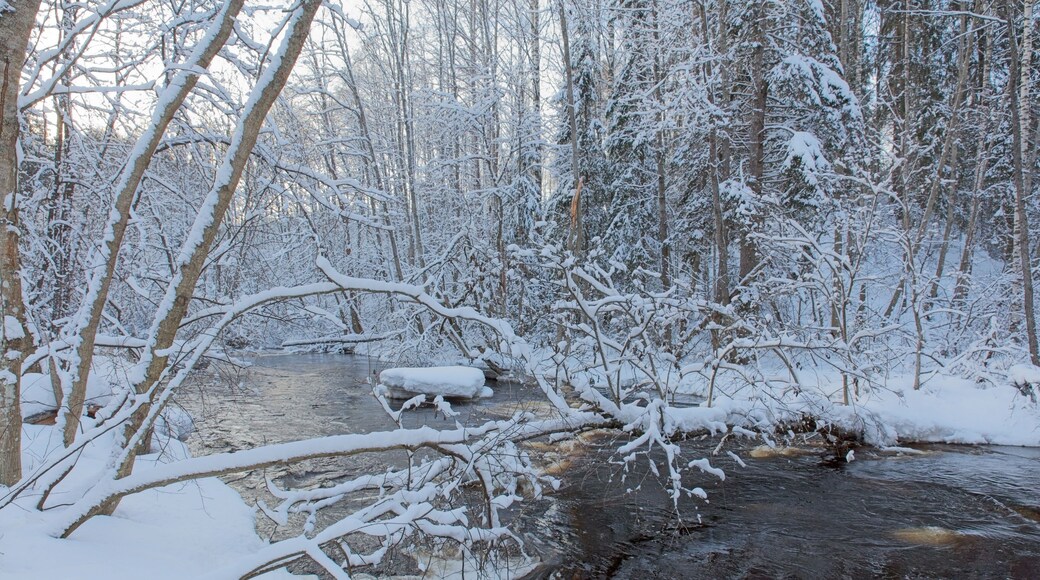 View of river Karjaanjoki in winter with snow on trees and ground, Pitkälänkoski, Karkkila, Finland.