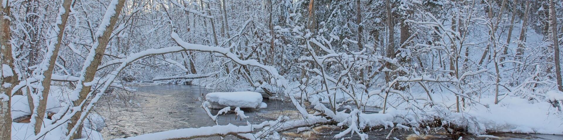 View of river Karjaanjoki in winter with snow on trees and ground, Pitkälänkoski, Karkkila, Finland.