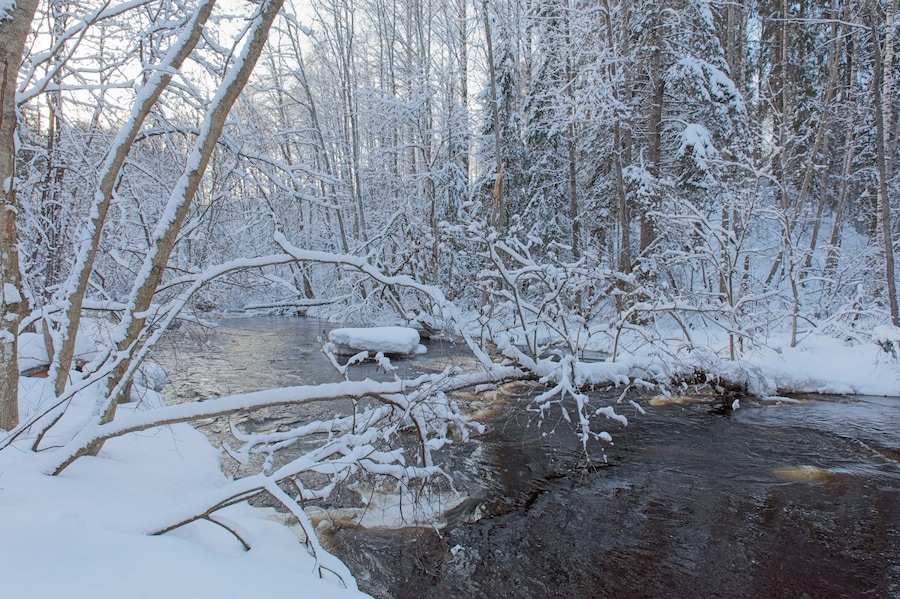 View of river Karjaanjoki in winter with snow on trees and ground, Pitkälänkoski, Karkkila, Finland.