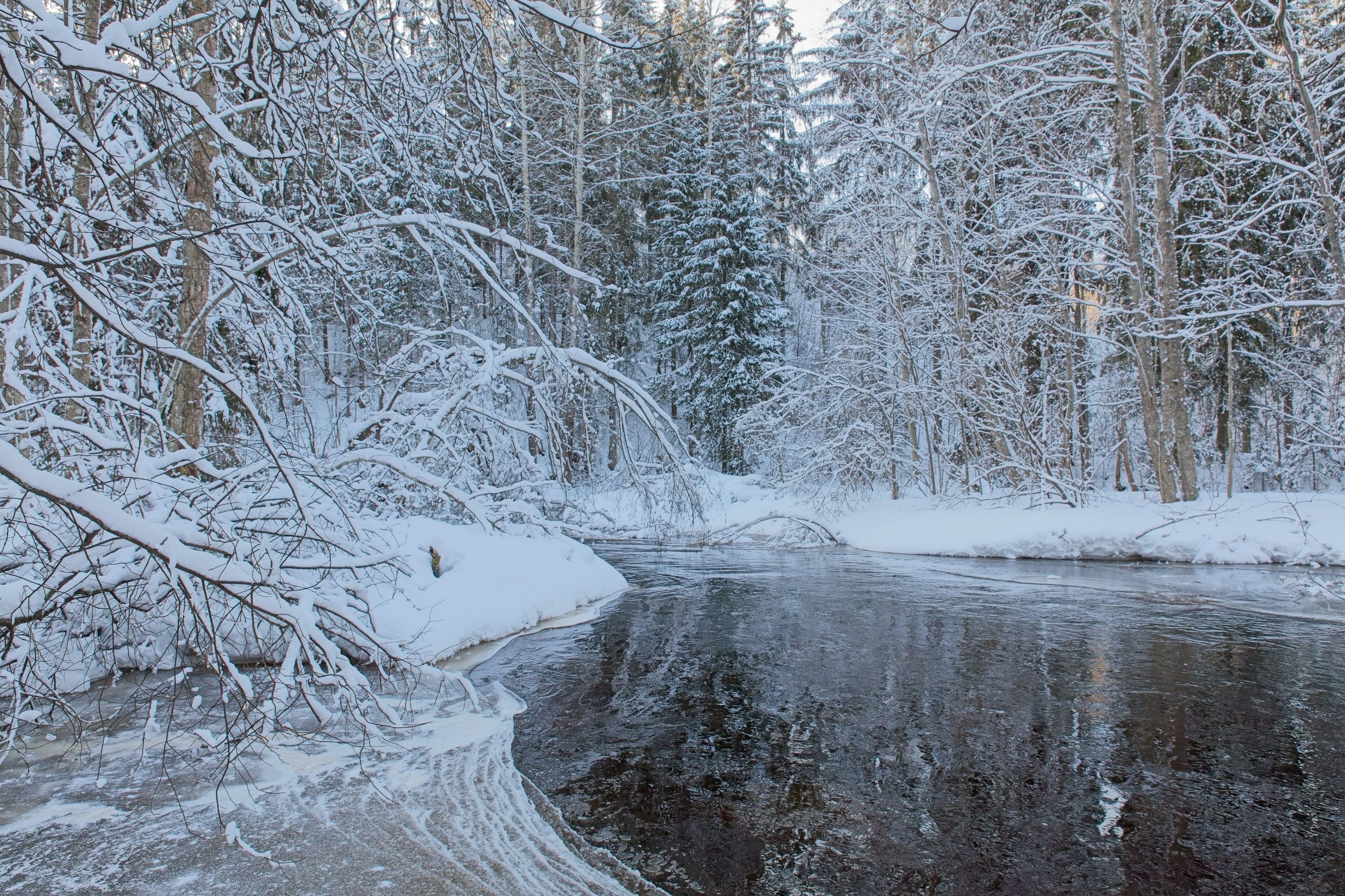 View of river Karjaanjoki in winter with snow on trees and ground, Pitkälänkoski, Karkkila, Finland.
