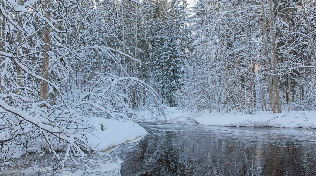 View of river Karjaanjoki in winter with snow on trees and ground, Pitkälänkoski, Karkkila, Finland.