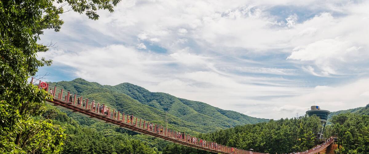 ๊ฒฝ๊ธฐ๋ ํ์ฃผ์ ๋ง์ฅํธ์์ ์๋ ์ถ๋ ๋ค๋ฆฌ