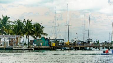 A docking area in Alice Town, Bimini, Bahmas.