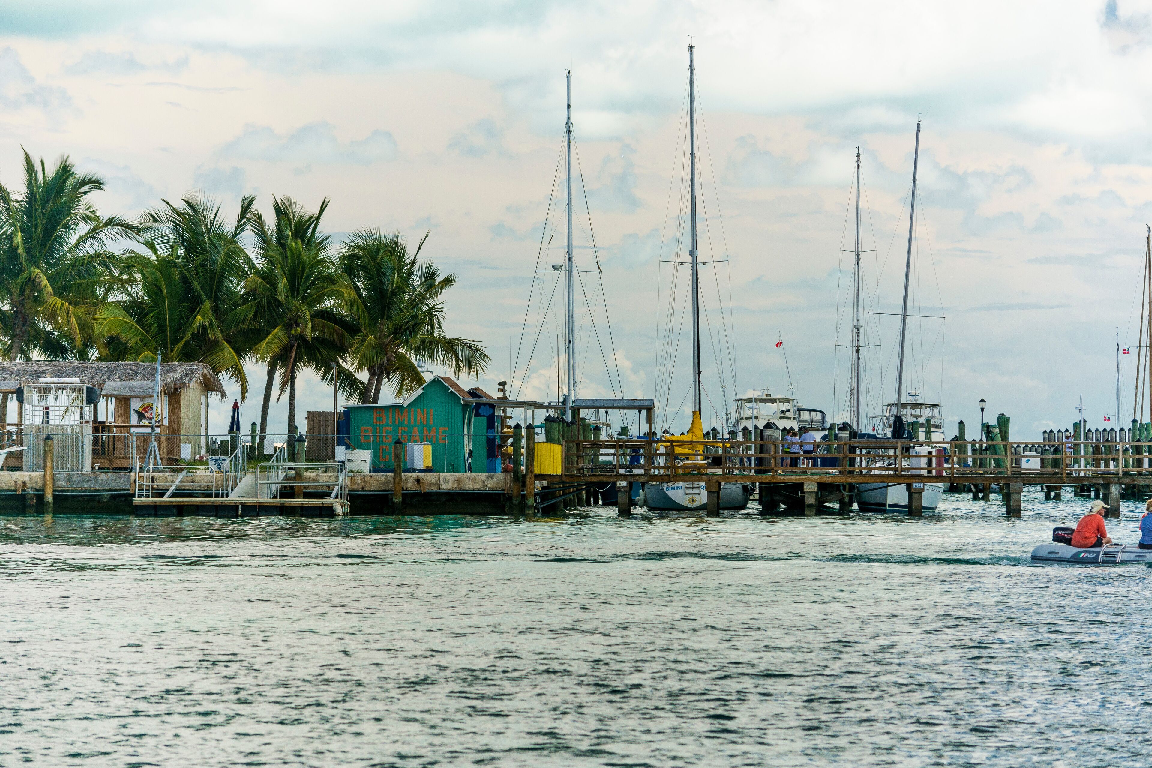 A marina with sailboats, a wooden pier, and palm trees.