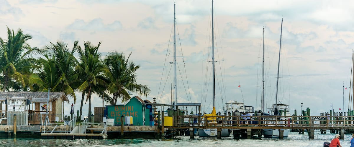 A marina with sailboats, a wooden pier, and palm trees.