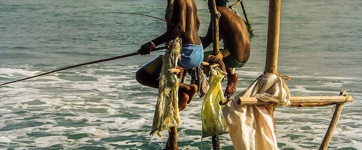 For most of the travelers, this is the first image comes to their mind when someone speaks about the little island of Sri Lanka. Stilt fishing can only be seen in the coastal region of Ahangama. This is an old tradition and now they just do it in order to protect their traditional life style. What they earn is the tip given by the tourists and local visitors after grabbing some pictures of this awesome scenery.