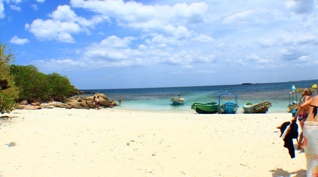 @ Pigeon Island National (Marine) Park, Trincomalee, Sri Lanka. Beautiful small island. You can snorkel or just laze below the trees. They also have a swing and hammocks!