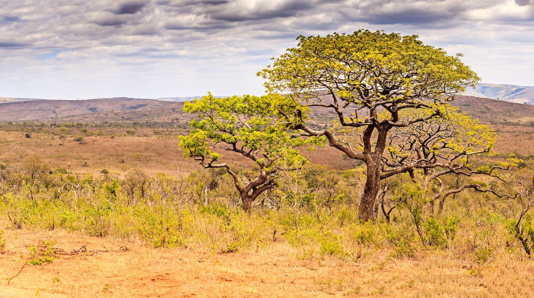 District de Zululand