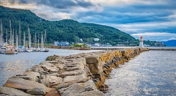 جزيرة بروتورا